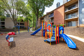 Photos and Video of Beacon Hill in Charlotte, NC